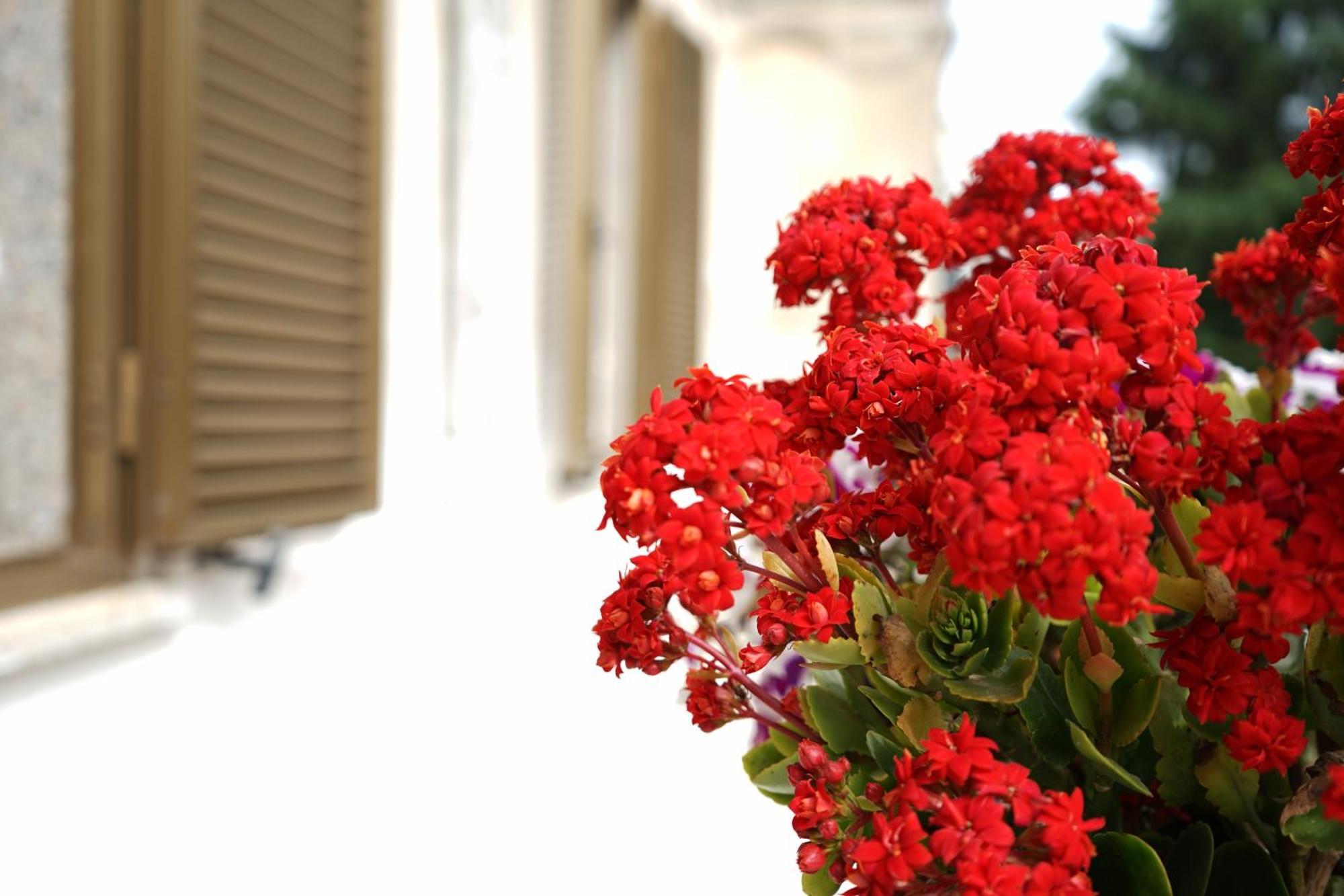 Ostuni Dream House Apartment Luaran gambar